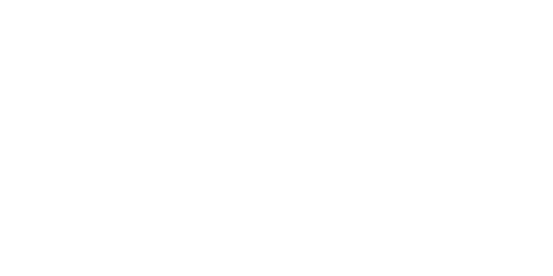 IAM Robotics Logo Light